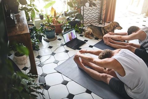 Comprehensive Yoga & Wellness Guide: Expert Review, Insights, and Solutions for 2025