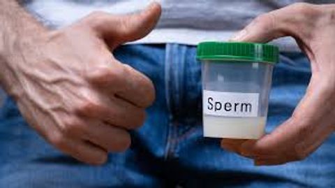 A Complete Guide to Sperm Donation for First-Time Donors